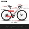 A28315 Road bike, 14-speed Aluminium frame disc brakes, disc brakes Men's Women's Road Bike