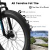 Ecarpat 26 Inch Fat Tires Mountain Bike, 4-Inch Wide Wheel, 21-Speed Disc Brakes, Mens Womens Trail Beach Snow Commuter City Mountain Bike