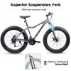 Ecarpat 26 Inch Fat Tires Mountain Bike, 4-Inch Wide Wheel, 21-Speed Disc Brakes, Mens Womens Trail Beach Snow Commuter City Mountain Bike