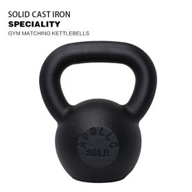 30lb×1piece Powder Coated Cast Iron Kettlebell for Men and Women's Gym, Same Family Kettlebell