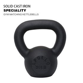 20lb×1piece Powder Coated Cast Iron Kettlebell for Men and Women's Gym, Same Family Kettlebell
