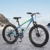 S24109 24 Inch Fat Tire Bike Adult/Youth Full Shimano 7 Speeds Mountain Bike, Dual Disc Brake, High-Carbon Steel Frame, Front Suspension
