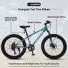 S24109 24 Inch Fat Tire Bike Adult/Youth Full Shimano 7 Speeds Mountain Bike, Dual Disc Brake, High-Carbon Steel Frame, Front Suspension