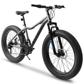 Ecarpat 26 Inch Fat Tires Mountain Bike, 4-Inch Wide Wheel, 21-Speed Disc Brakes, Mens Womens Trail Beach Snow Commuter City Mountain Bike (Color: as Pic)